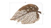Phillips Collection Home Phillips Collection Birch Leaf Wall Art, Copper, MD