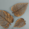 Phillips Collection Home Oversized LTL - Rate to be Quoted Phillips Collection Birch Leaf Wall Art, Copper, XL