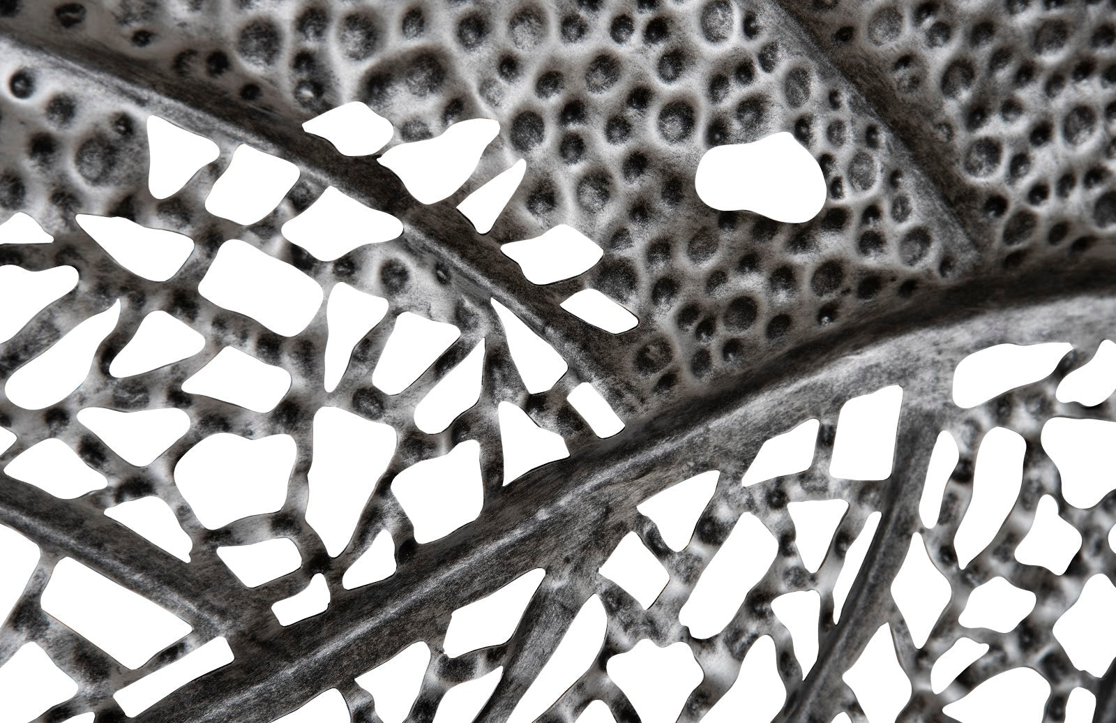 Phillips Collection Home Phillips Collection Birch Leaf Wall Art, Silver, MD