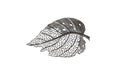 Phillips Collection Home Phillips Collection Birch Leaf Wall Art, Silver, MD