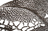 Phillips Collection Home Oversized LTL - Rate to be Quoted Phillips Collection Birch Leaf Wall Art, Silver, XL
