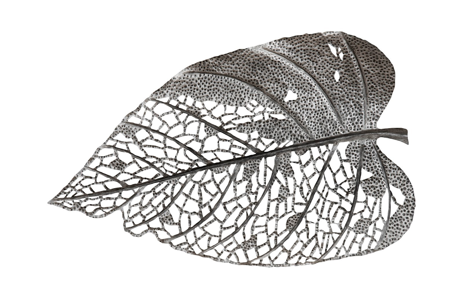 Phillips Collection Home Oversized LTL - Rate to be Quoted Phillips Collection Birch Leaf Wall Art, Silver, XL