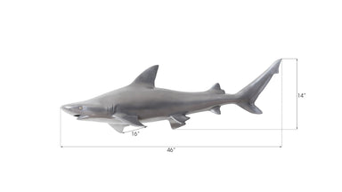 Phillips Collection Home Phillips Collection Black Tip Reef Shark, Polished Aluminum