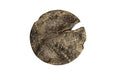 Phillips Collection Home Phillips Collection Black Wash Stool, Round