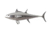 Phillips Collection Home Phillips Collection Bluefin Tuna Fish Wall Sculpture, Resin, Silver Leaf