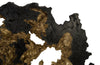 Phillips Collection Home Oversized LTL - Rate to be Quoted Phillips Collection Burled Root Wall Art, Large, Black and Gold Leaf