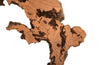 Phillips Collection Home Phillips Collection Burled Root Wall Art, Medium, Faux Bois Finish