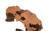 Phillips Collection Home Phillips Collection Burled Root Wall Art, Medium, Faux Bois Finish