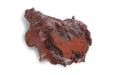 Phillips Collection Home Phillips Collection Burled Wall Art, Faux Rosewood