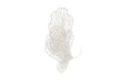 Phillips Collection Home Phillips Collection Butterfly Wall Art, White, MD