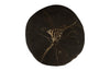 Phillips Collection Home Phillips Collection Cast Petrified Wood Stool, Resin