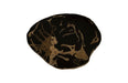 Phillips Collection Home Phillips Collection Cast Petrified Wood Stool, Resin