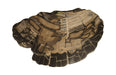 Phillips Collection Home Phillips Collection Cast Petrified Wood Stool, Resin