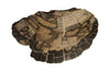 Phillips Collection Home Phillips Collection Cast Petrified Wood Stool, Resin