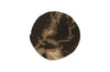 Phillips Collection Home Phillips Collection Cast Petrified Wood Stool, Resin