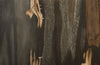 Phillips Collection Home Phillips Collection Cast Petrified Wood Stool, Resin, Square