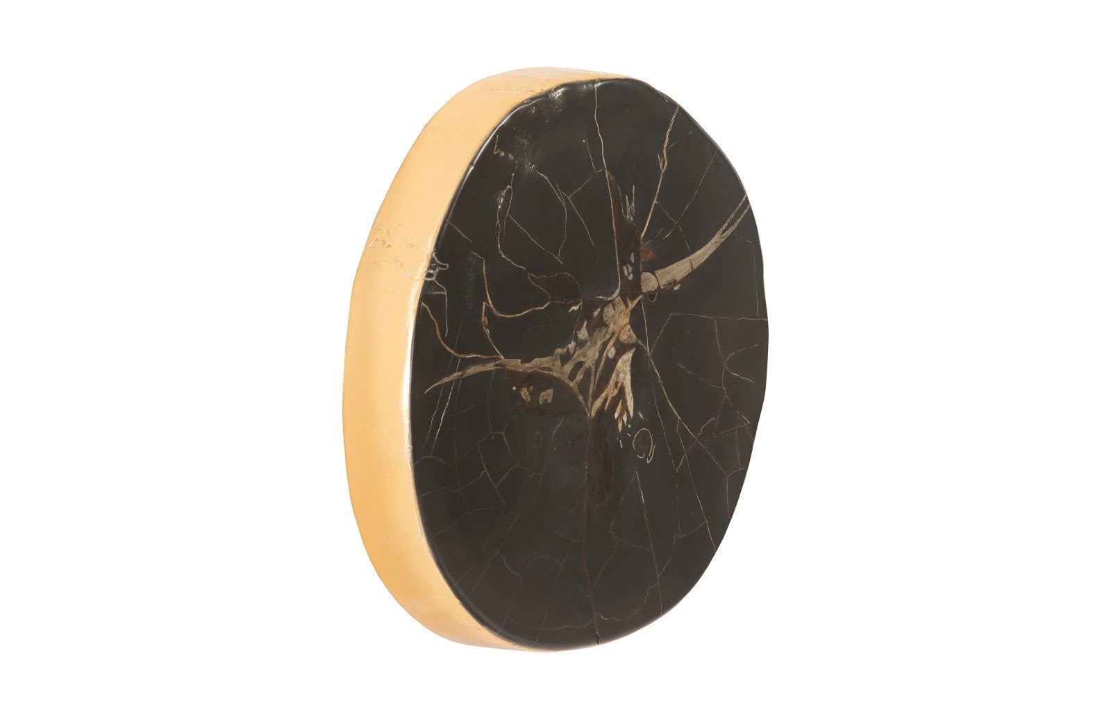 Phillips Collection Home Phillips Collection Cast Petrified Wood Wall Tile, Resin
