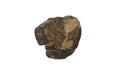 Phillips Collection Home Phillips Collection Cast Petrified Wood Wall Tile, Resin