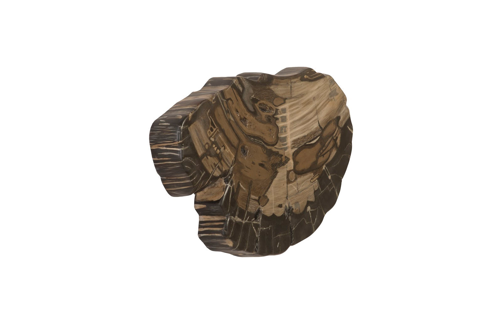 Phillips Collection Home Phillips Collection Cast Petrified Wood Wall Tile, Resin