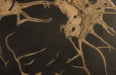 Phillips Collection Home Phillips Collection Cast Petrified Wood Wall Tile, Resin