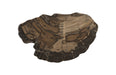 Phillips Collection Home Phillips Collection Cast Petrified Wood Wall Tile, Resin