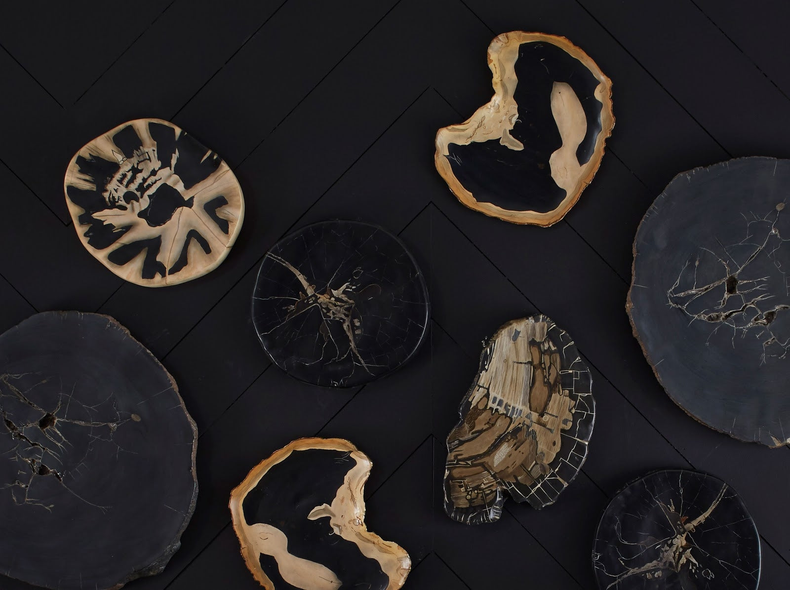 Phillips Collection Home Phillips Collection Cast Petrified Wood Wall Tile, Resin