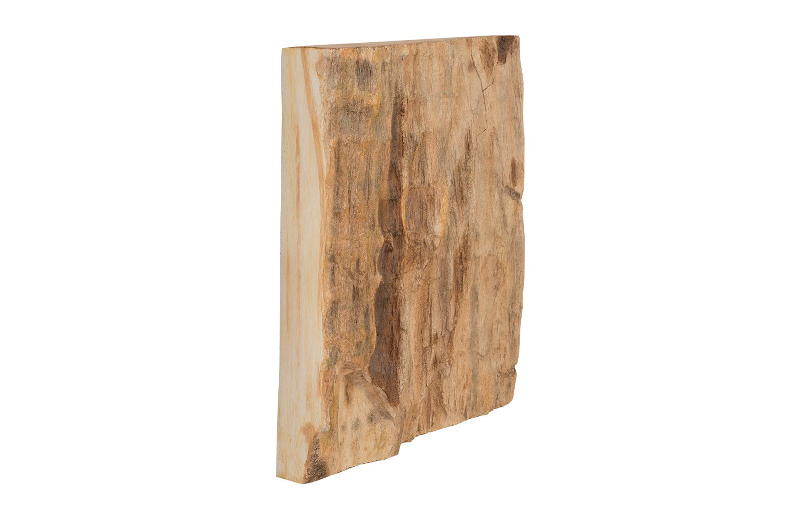 Phillips Collection Home Phillips Collection Cast Petrified Wood Wall Tile, Resin, Square