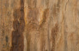 Phillips Collection Home Phillips Collection Cast Petrified Wood Wall Tile, Resin, Square