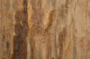 Phillips Collection Home Phillips Collection Cast Petrified Wood Wall Tile, Resin, Square