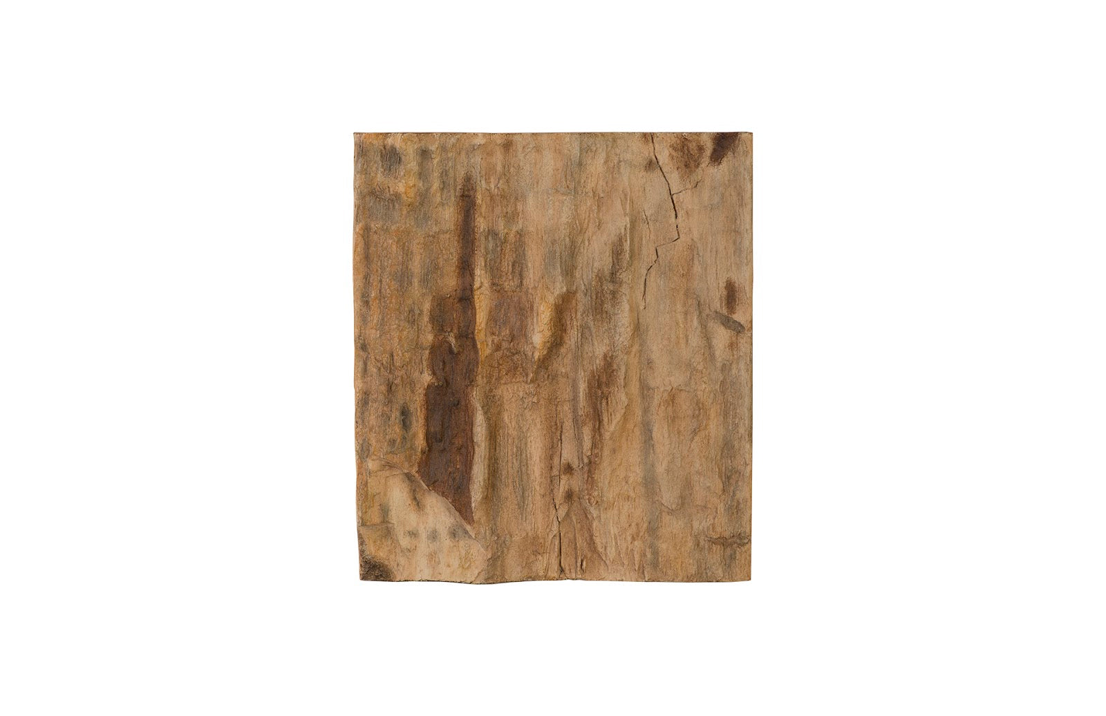 Phillips Collection Home Phillips Collection Cast Petrified Wood Wall Tile, Resin, Square