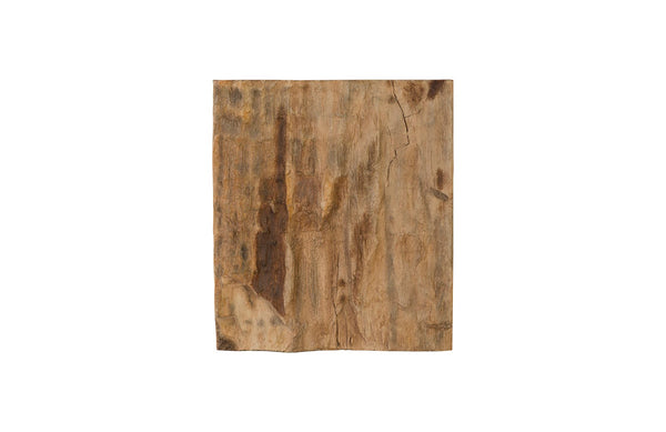 Phillips Collection Home Phillips Collection Cast Petrified Wood Wall Tile, Resin, Square
