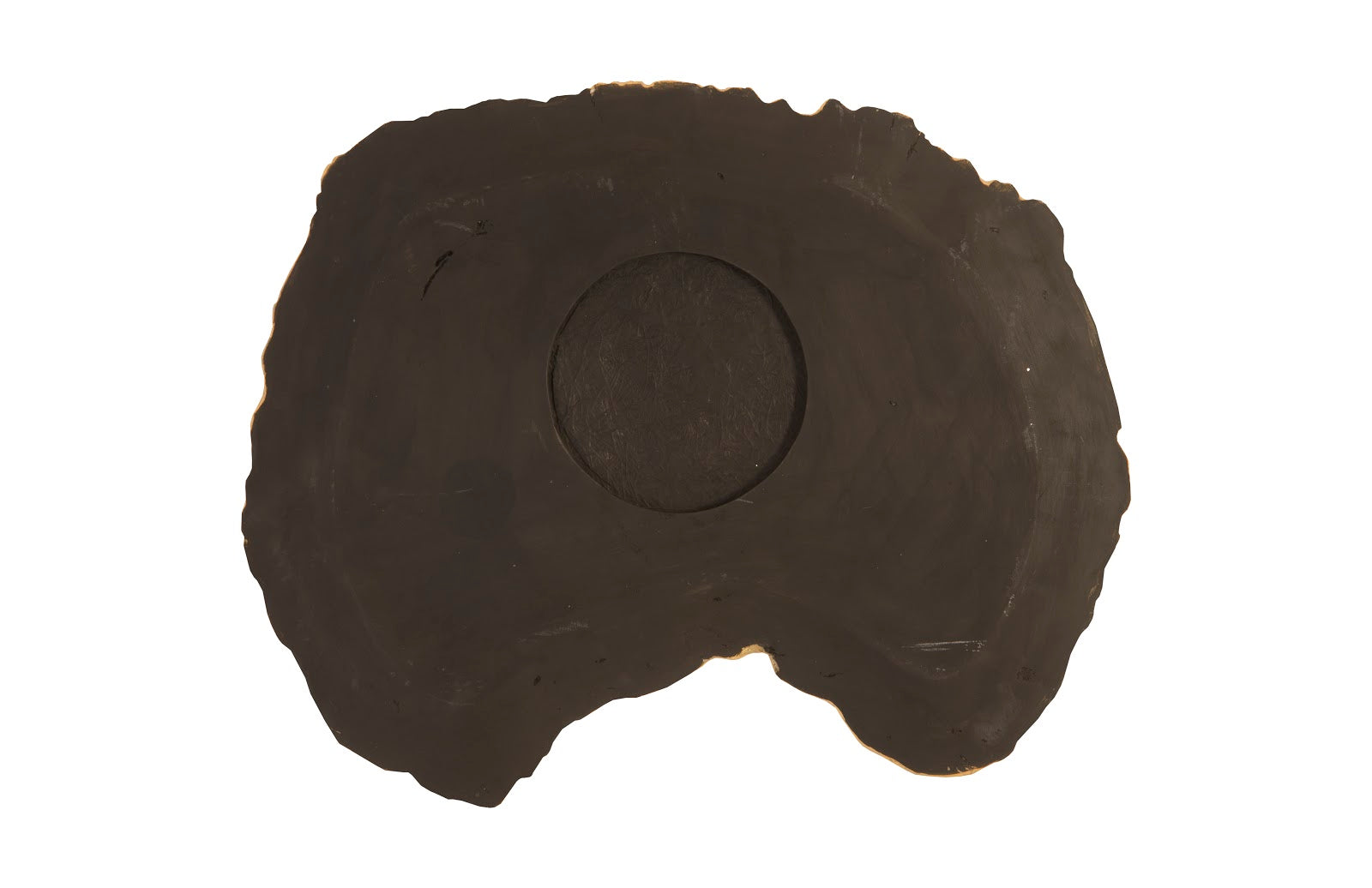 Phillips Collection Home Phillips Collection Cast Petrified Wood Wall Tile, Resin, Thin