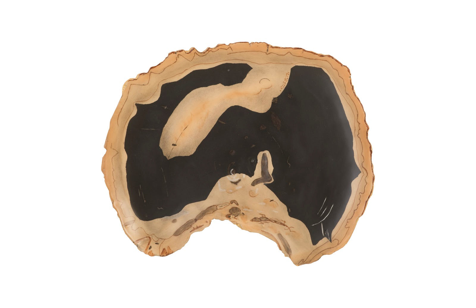 Phillips Collection Home Phillips Collection Cast Petrified Wood Wall Tile, Resin, Thin