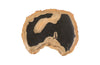 Phillips Collection Home Phillips Collection Cast Petrified Wood Wall Tile, Resin, Thin
