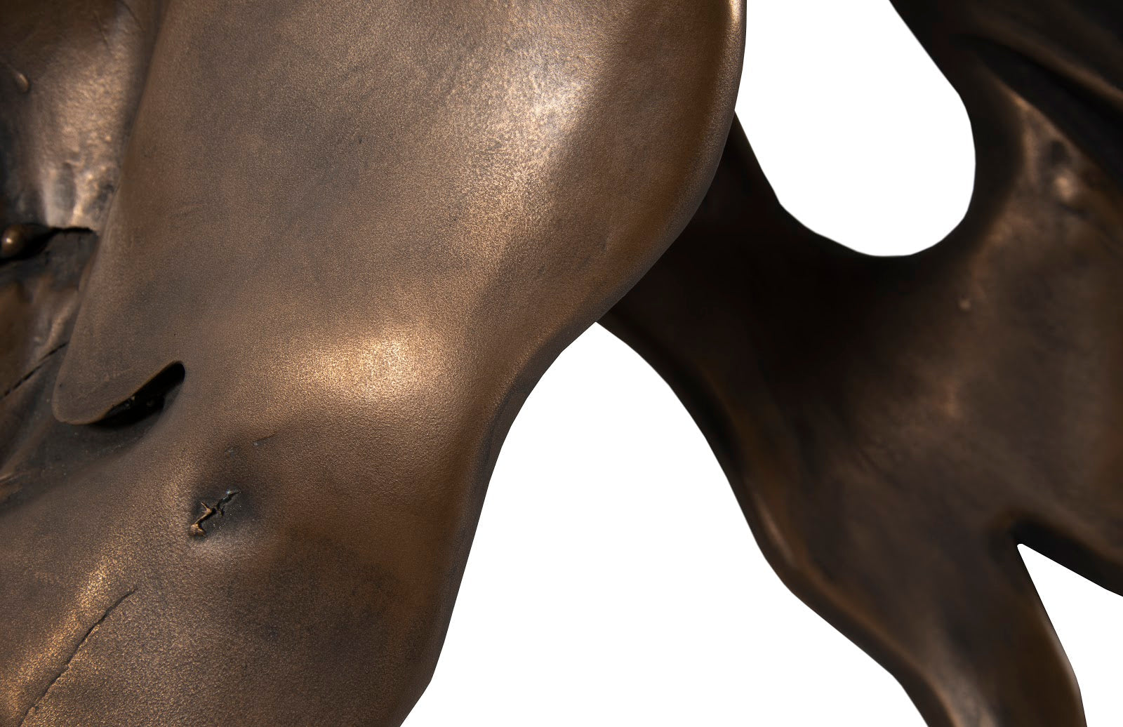 Phillips Collection Home Oversized LTL - Rate to be Quoted Phillips Collection Cast Root Sculpture, Resin, Bronze Finish