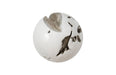 Phillips Collection Home Phillips Collection Cast Root Wall Ball, Resin, White, MD