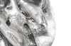 Phillips Collection Home Phillips Collection Cast Root Wall Tile, Resin, Silver Leaf, Round