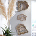 Phillips Collection Home Phillips Collection Cast Wall Onyx Bowl, Faux Finish, LG