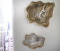 Phillips Collection Home Phillips Collection Cast Wall Onyx Bowl, Faux Finish, LG