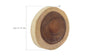 Phillips Collection Home Phillips Collection Chuleta Wall Tile, Chamcha Wood, SM