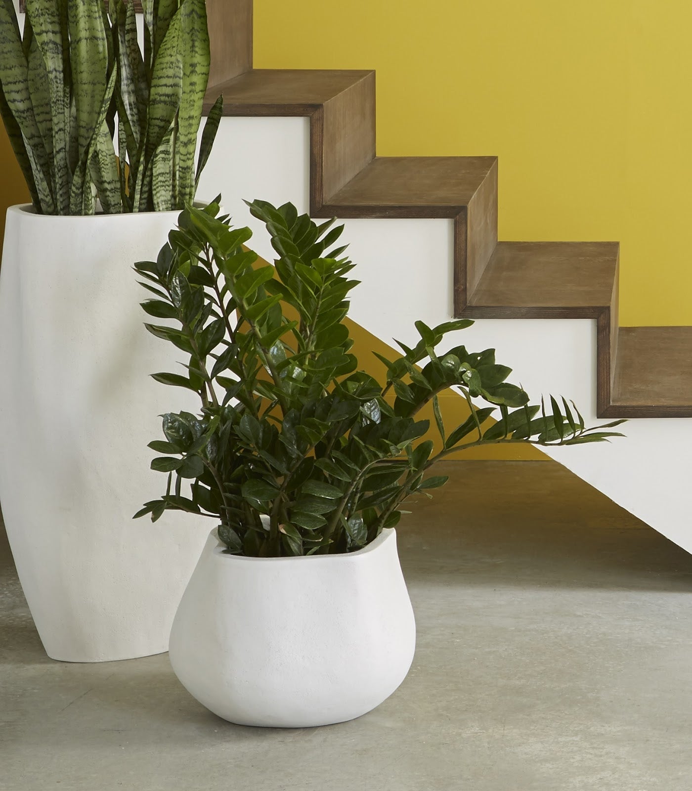 Phillips Collection Home Phillips Collection Claire Planter, Small, White