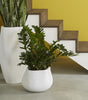 Phillips Collection Home Phillips Collection Claire Planter, Small, White