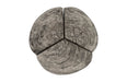 Phillips Collection Home Oversized LTL - Rate to be Quoted Phillips Collection Clover Coffee Table, Chamcha Wood, Gray Stone Finish, Metal Base