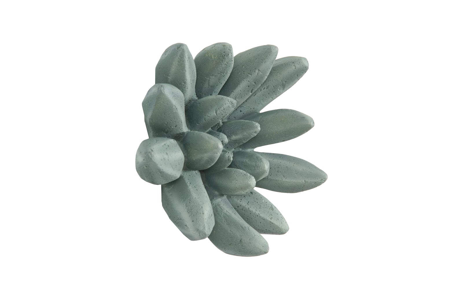 Phillips Collection Home Phillips Collection Compactum Succulent Wall Art, Forest