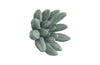 Phillips Collection Home Phillips Collection Compactum Succulent Wall Art, Forest