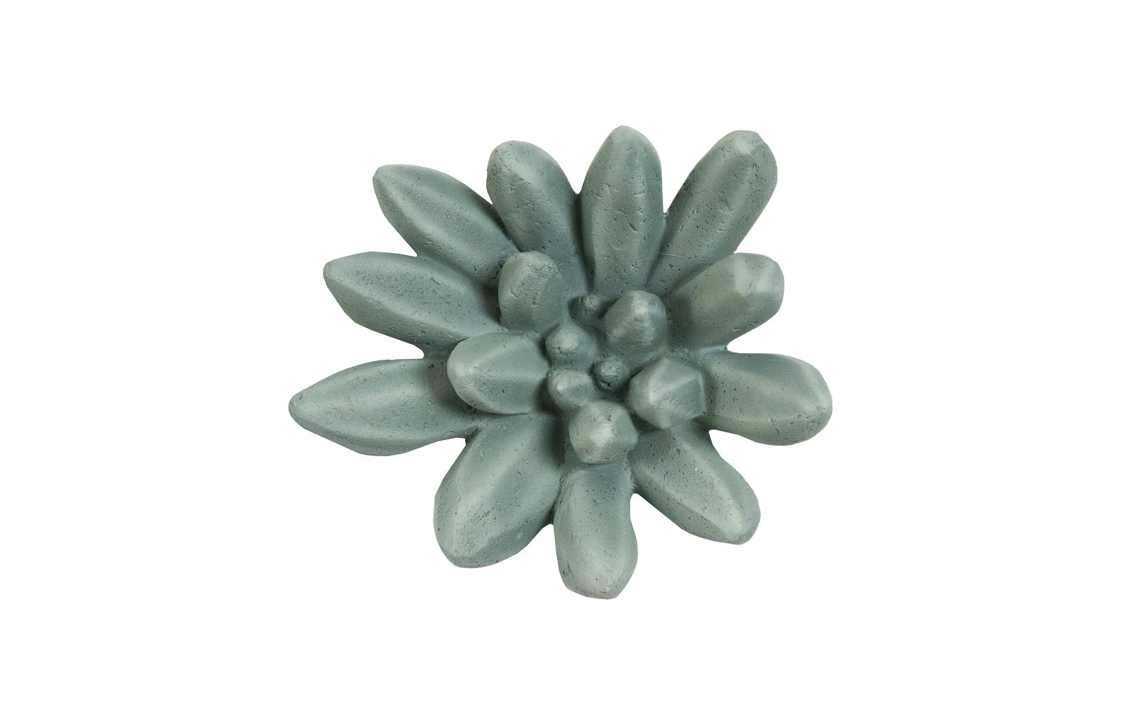 Phillips Collection Home Phillips Collection Compactum Succulent Wall Art, Forest