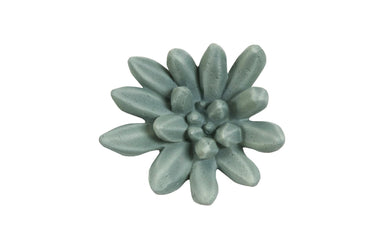 Phillips Collection Home Phillips Collection Compactum Succulent Wall Art, Forest