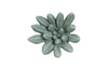 Phillips Collection Home Phillips Collection Compactum Succulent Wall Art, Forest