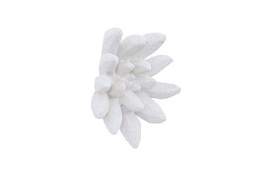 Phillips Collection Home Phillips Collection Compactum Succulent Wall Art, White Stone