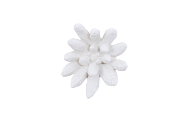 Phillips Collection Home Phillips Collection Compactum Succulent Wall Art, White Stone